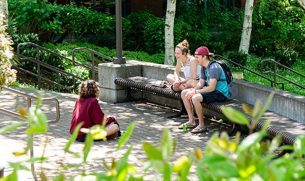 太平洋大学学生在马丁广场享受阳光